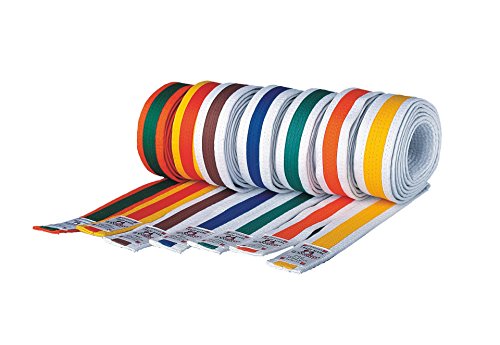 Danrho Taekwondo Judo Karate Gürtel Kinder und Jugend Kampfsportgürtel dreifarbig