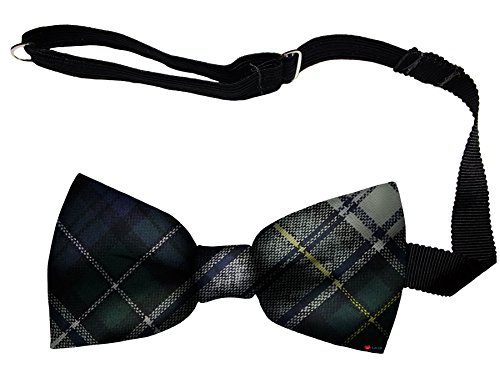 Noeud papillon Campbell Dress en laine douce de Écosse une idée cadeau raffinée pour homme