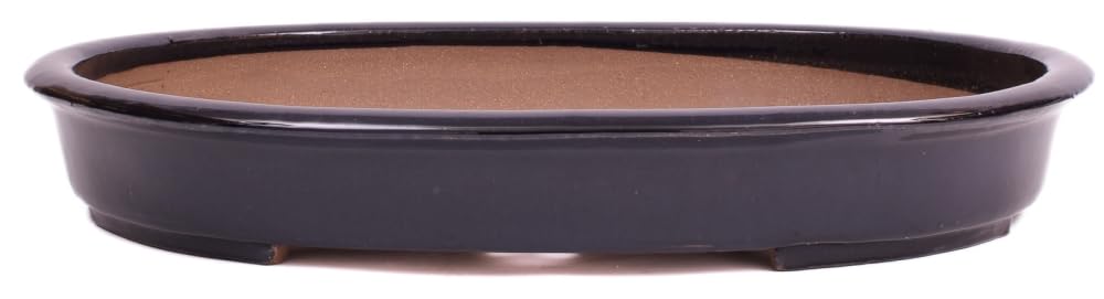 generisch Bonsai - Schale, Waldschale, oval 55 x 42 x 8 cm dunkelblau frostfest 51387