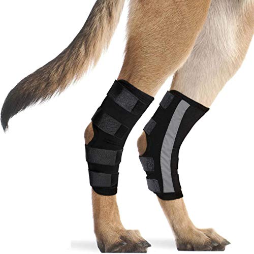 Dog Knee Support Sleeve Dog Reflective Wrap Dog Leg Support Adjustable for Injury and Sprain Protection Pet Brace Heals and Prevent Injuries, Wound Healing, Loss of Stability from Arthritis (M)