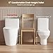Casta Diva Elongated One Piece Toilet with 17