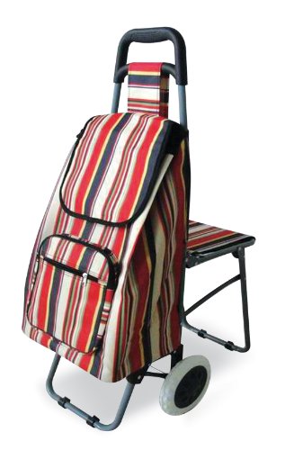 Preisvergleich Produktbild Lifemax Freizeitwagen mit Sitz