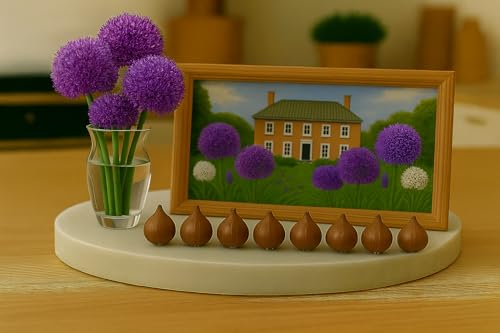 10 Bulbes Allium Purple Sensation – 10 bulbes calibre 10/12 - ombelles sphériques - Fleur Jardin - 901