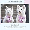 Furfect City Step in Dog Harness, No Pull No Choke, Durable Polyester Breathable mesh, Adjustable Strap, Quick Release Gold Hardware Metal Buckle, Soft Edges for Comfort (Pink, Small) #3