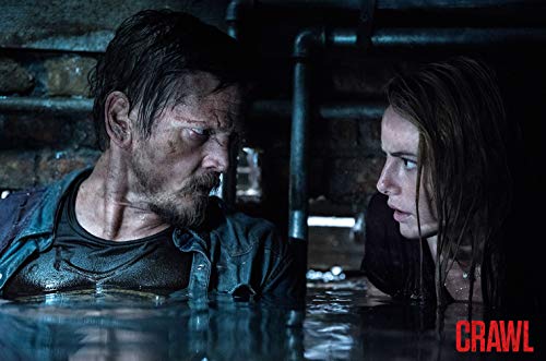 Crawl –  4K Steelbook (UHD + Blu-ray Disc)
