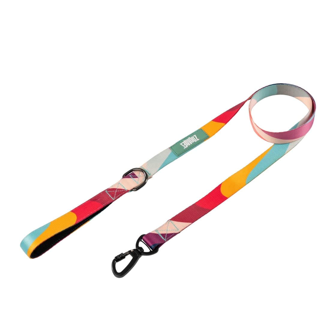 Zoomiez Printed Dog Leash/Lead with Comfortable Padded Handle, 4 Ft with Heavy Duty Slide Locking Hook - Swirl (B0BRD5VLFX) Amazon Price History, Amazon Price Tracker