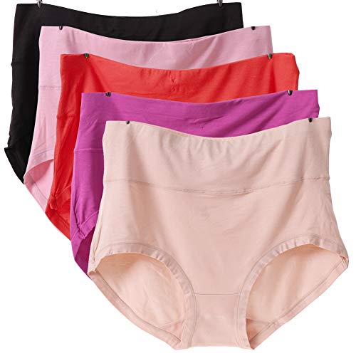 UWOCEKA Pack of 5 Women's Panties Bamboo Fiber Stretchy Soft Breathable Briefs(Large)
