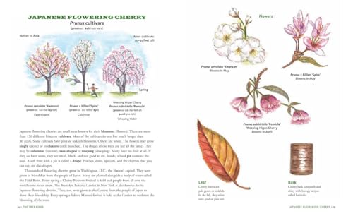 The Tree Book for Kids and Their Grown-Ups