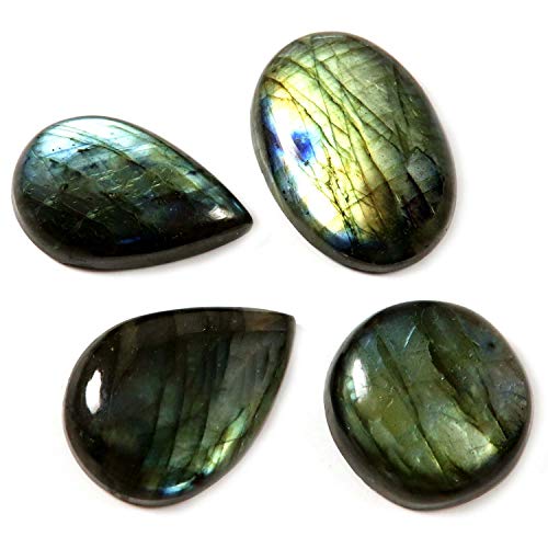 DENMOUS ���u���h���C�g �V�R�J�{�V���� �W�F���X�g�[�� 4�� ���b�g 170.35�J���b�g Lbe86-DN01B081LG7M