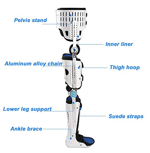 Hinged Hip Abduction Orthosis, Ankle and Foot Orthosis Can Be Adjusted to The Thigh, Used for Hip Fracture, Thigh Fracture, al Fracture (Right 90cm or More) (Right 90cm or More)