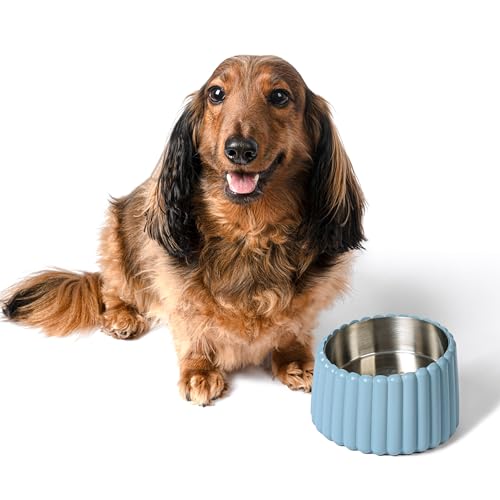 The LICKER Store DBL3001C Ripple Ridge Small/Medium Slanted Concrete and Stainless Steel Bowl 16oz (2 Cups) Pet Feeder, Blue