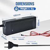Zoom IMG-1 dchouse 12v 100ah lifepo4 batteria Zoom IMG-1 dchouse 12v 100ah lifepo4 batteria