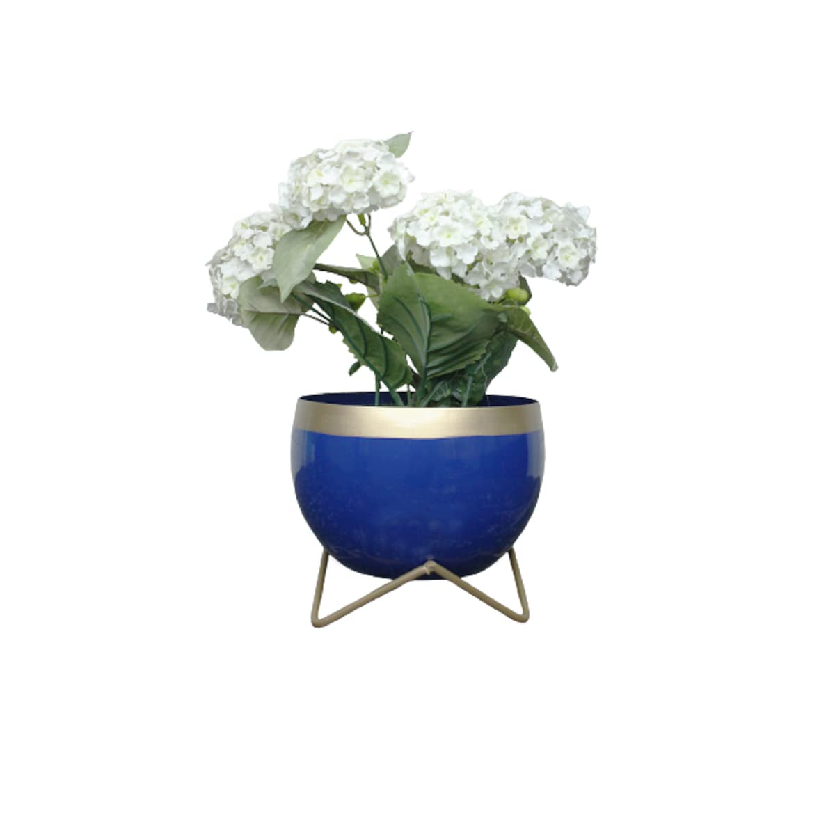 See full amazon price history chart for Wonderland Line Round Pot (Blue) for Home Decor Wonderland Line Round Pot (Blue) for Home Decor (B0B1RSTZ37) Amazon Price History, Amazon Price Tracker