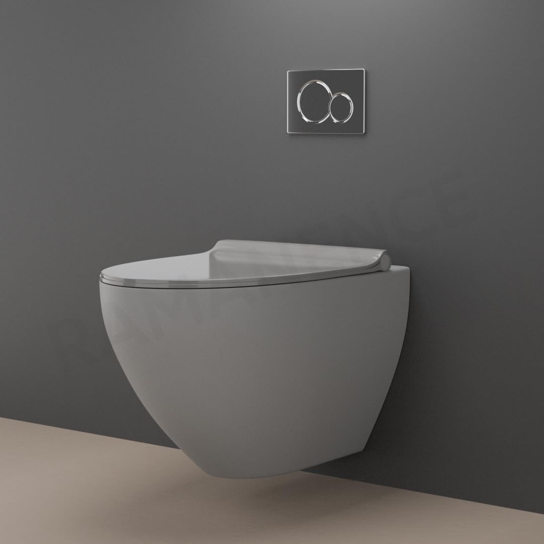 Wall Mount Commode - Space-Saving Toilet Solution -2 Wall Mount Commode - Space-Saving Toilet Solution -2