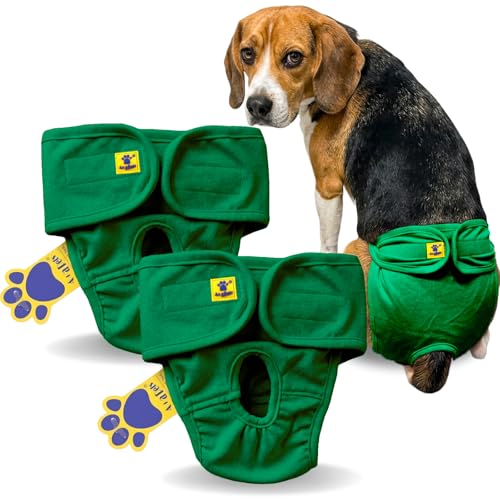 Image of A+a Pets' MAA' Cotton Dog Underwear Diaper Combo - Stretchable, Comfortable, Washable & Reusable (M, Green Set)