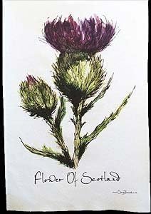 Flower of Scotland Tea Towel in a Scottish Thistle Design