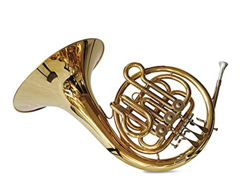 Symphonie Westerwald - Trompa en si bemol para niños, plateada/dorada, con maleta de transporte y accesorios Cover