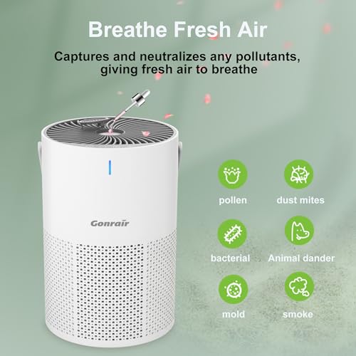 Image of Air Purifier for office home living room, bedroom, H13 True HEPA Filter (White, Air Purifier)