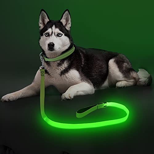 Colaseeme Light Up Dog Leash, 4FT LED Pet Leashes Micro USB Recha...