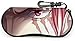 Produktbild Shanks One Piece Brillenetui Sonnenbrille Softcase Neopren Tragbarer Reisereißverschlusshaken