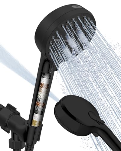 Filtered handheld shower head with 6 modes