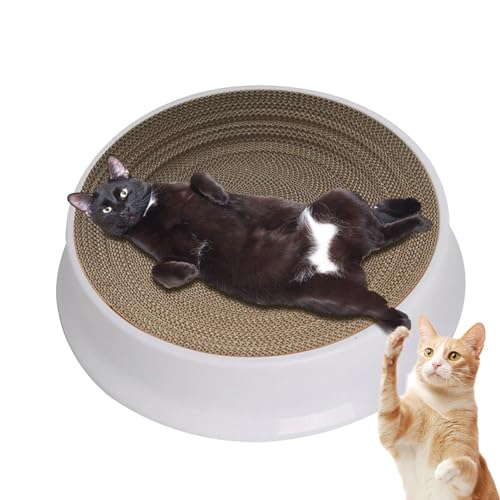 L̕~XNb`[,i{[xbh܌ ی^ | \Ńp̂ȂL̐}bgA\t@Ƌp̏ƋveN^[B