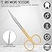 TC Iris Micro Dissecting Scissors 4.5