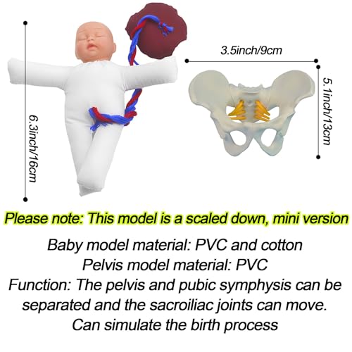 Modèle de naissance pour simulation réaliste AMITD évitant les erreurs de manipulation