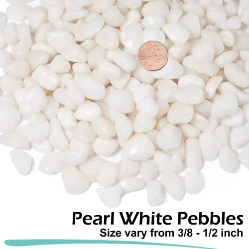 Gaspro 2.5 Pound Pebbles For Indoor Plants, 3/8" Decorative White Rocks For Vases, Planters, Succulents, Bamboo, Highly Polished And Smooth Surface #TOP1