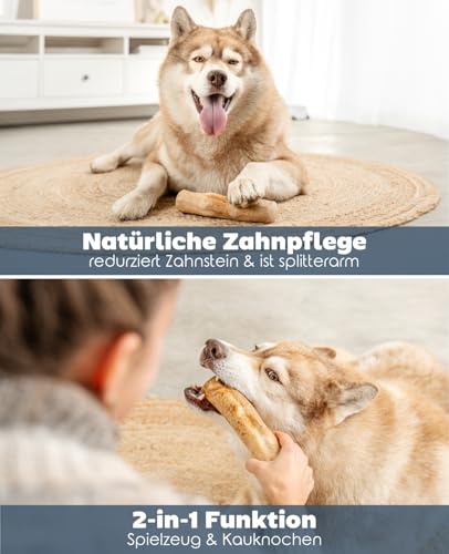 lionto Kaffeeholz für Hunde, Größe XL, 100% natürliches Robustes Kauspielzeug für gesunde Zähne, umweltfreundlicher Kauknochen für Welpen, langlebig & splitterarm, für Hunde bis 40 kg