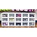 Sterilite 6-Pack 6 Quart Stacking Drawer, Clear Storage Closet Organizer, White Frame - Stackable Modular Plastic Drawers for Clothes, Accessories, Craft Supplies, Shoes or Linens