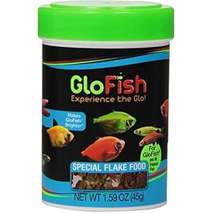 GloFish Special Flake Dry Fish Food for Brightness, 1.6 oz – 77003