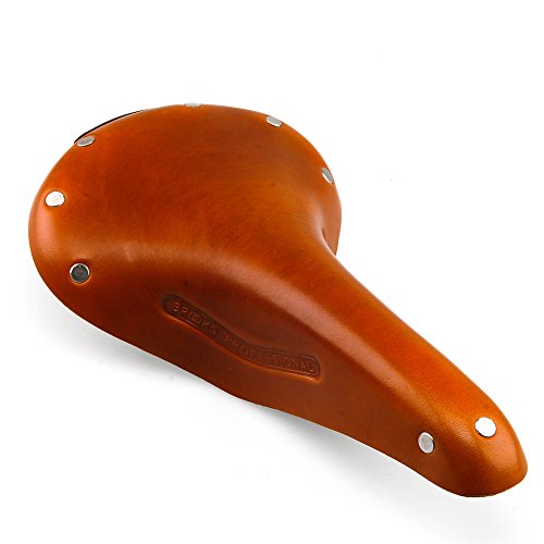 Brooks Saddles Team Professional Classic Bicycle Saddle with Tubular Rivets (Men's, Honey)