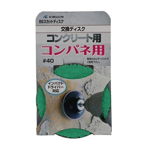 Ichiguchi BS Scut Disc B for Computer #40 87083 : Amazon.sg: DIY