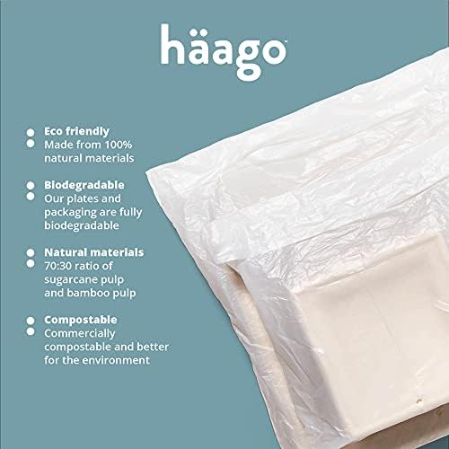 HAAGO - 88 Sugarcane Bagasse Biodegradable Square Dinner Dessert Party Plate Set - 26cm & 16cm