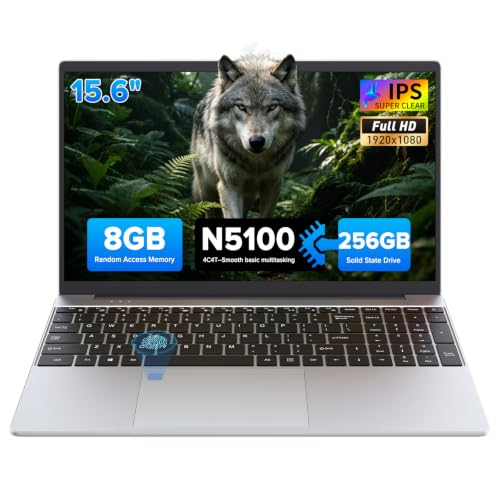 Auusda 15.6" Silver Laptop PC, 8GB RAM 256GB SSD, Backlit Keyboard, Fingerprint Sensor, USB 3.0*2, Up to 8TB Storage, Win 11 Pro Compatible, 6000mAh, N5100 Quad-Core, Ideal for Light Office & Business