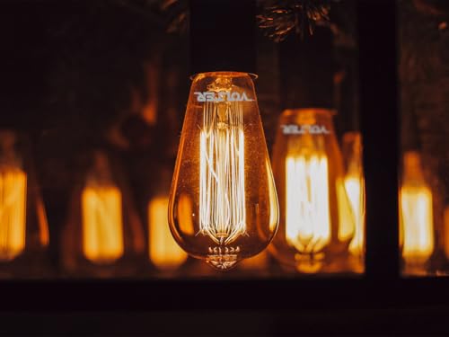 Kit 2 Lâmpadas Led Filamento Retrô St64 4w Bivolt E27 Volter