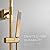 Fennocasa Polaris Lux Rain Shower System, includes 10” Square Rainfall Shower Head and Handheld Shower Combo, Height Adjustable Spray Holder, Retrofit, 60” Hose (2.5 GPM Brushed Gold)