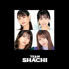 �� / TEAM SHACHI