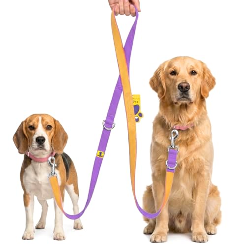 Image of A+a Pets' Multi-Function Cotton Leash to Walk 2 Dogs | Long, Short, Hands Free, Traffic, Running, Walking | Adjustable, Soft Comfortable (Purple & Mango)