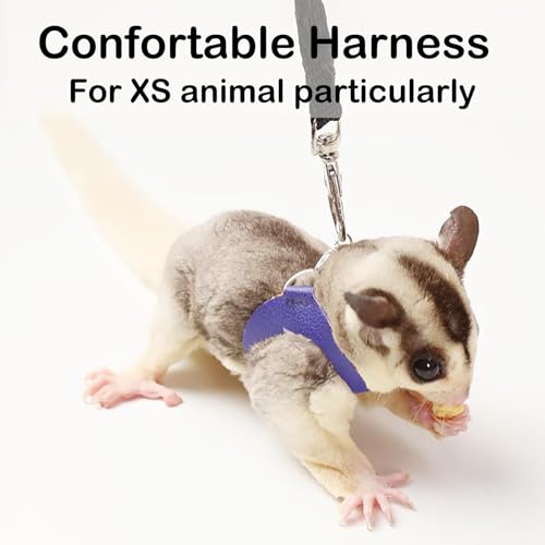 3 Pack Sugar Glider Harness and Leash Set Small Animal Training Walking Vest for Squirrel Hamster Rat Blue - Image 4
