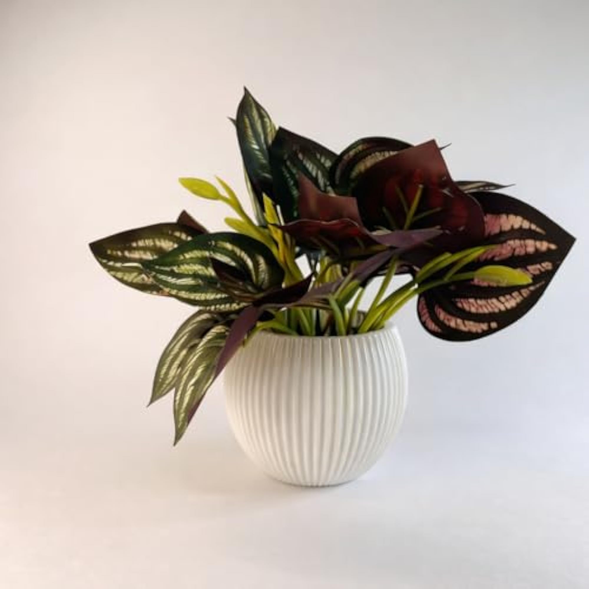 Artificial Calathea Leaf Plant with White Pot, Premium Decor