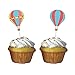 Creative Converting Up, Up & Away Cupcake Picks (12 Count)