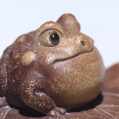 Théière grenouille en sable violet et support couvercle Kung Fu - 7