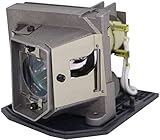 POA-LMP138 pour SANYO POA-LMP138 Ampoule de rechange pour projecteur SANYO PDG-DWL100 / PDG-DXL100