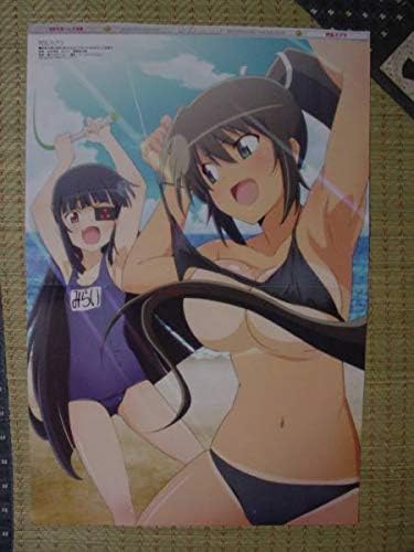 Amazon 閃乱カグラ焔 未来 水着 スタプラ卯月花音 織部あやね ファルセットver1 0 両面ピンナップポスター アニメ 萌えグッズ 通販 Amazon 閃乱カグラ焔 未来 水着 スタプラ卯月花音 織部あやね ファルセットver1 0 両面ピンナップポスター アニメ 萌えグッズ 通販
