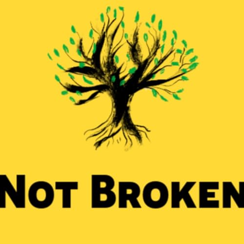 Not Broken: The Fat Loss and Energy Reset copertina