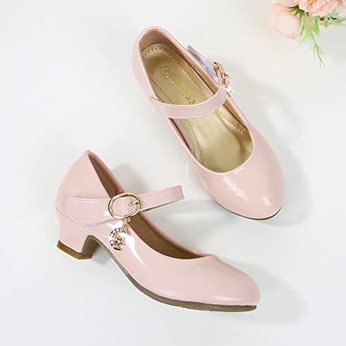 Shoes for Kids,Girls High Heeled Princess Shoes Leather School Students Shoes Children Dress Shoes Cute Shoes Gift3