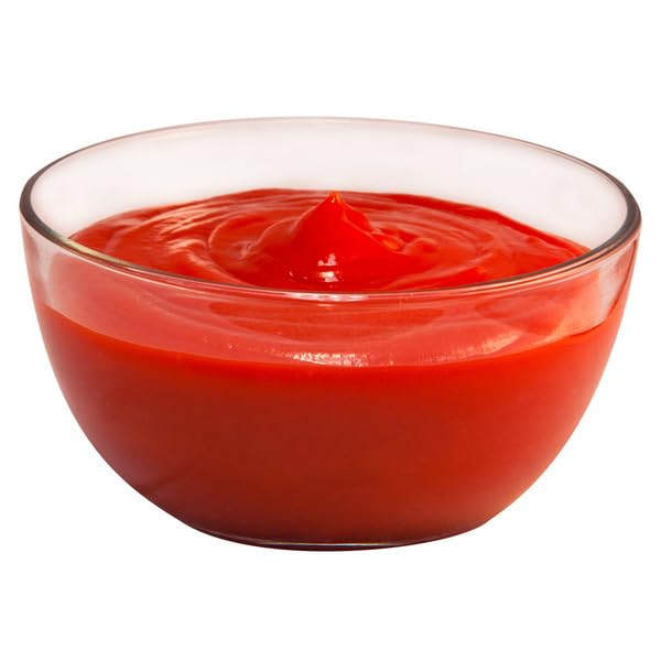 House Recipe Tomato Ketchup – 16 Pack, 20 oz Squeeze Bottles (Upside Down) – Thick, Tangy, Premium-Quality Ketchup for Food Service, Restaurants, and Bulk Use