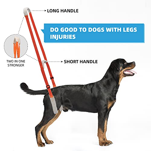 Xlpeixin Dog Lift Harness Dog Support Harness For Back Legs Rear Lifting Sling For Dogs With Poor Stability, Arthritis, Joint Injuries (Orange)… #TOP7